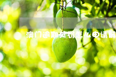澳门逾期处罚怎么申请解除 澳门逾期处罚怎么申请解除