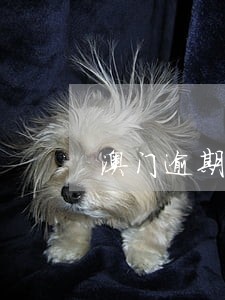 澳门逾期多长时间可以去 澳门逾期多长时间可以去