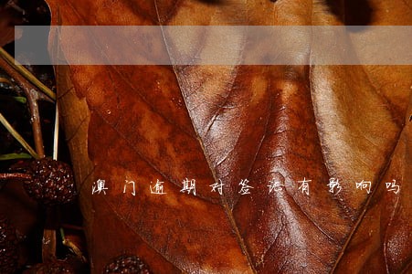 澳门逾期对签证有影响吗 澳门逾期对签证有影响吗