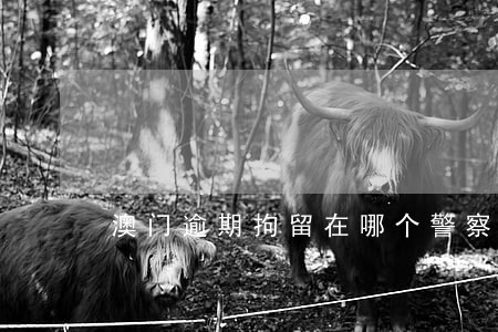 澳门逾期拘留在哪个警察局 澳门逾期拘留在哪个警察局