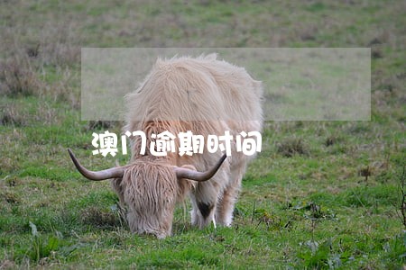 澳门逾期时间 澳门逾期时间