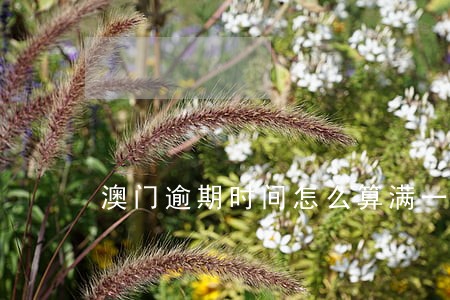 澳门逾期时间怎么算满一年 澳门逾期时间怎么算满一年