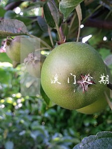 澳门逾期机场交罚款 澳门逾期机场交罚款
