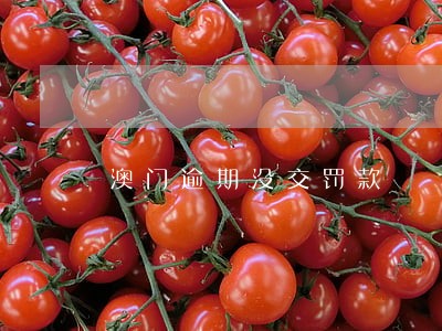 澳门逾期没交罚款 澳门逾期没交罚款
