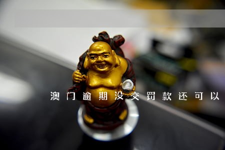 澳门逾期没交罚款还可以进去吗 澳门逾期没交罚款还可以进去吗