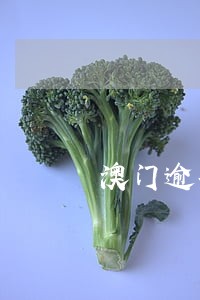 澳门逾期没有交罚款 澳门逾期没有交罚款