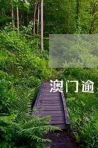 澳门逾期没有交罚款怎么办 澳门逾期没有交罚款怎么办