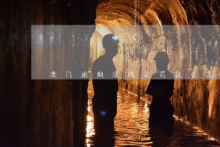 澳门逾期没钱交罚款会怎样