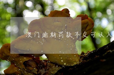 澳门逾期罚款不交可以入境 澳门逾期罚款不交可以入境