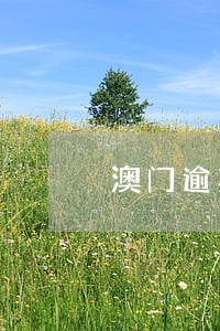 澳门逾期罚款后拘留 澳门逾期罚款后拘留