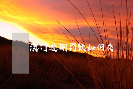 澳门逾期罚款如何交 澳门逾期罚款如何交