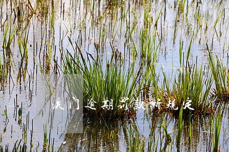 澳门逾期罚款新规定 澳门逾期罚款新规定