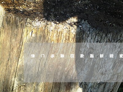 澳门逾期罚款最新规定 澳门逾期罚款最新规定