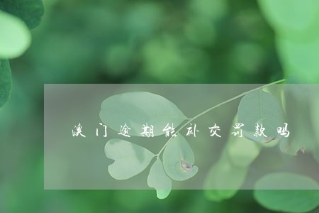 澳门逾期能补交罚款吗 澳门逾期能补交罚款吗