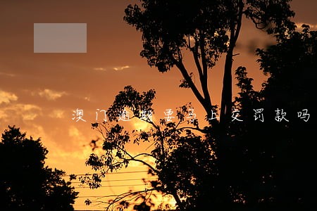 澳门逾期要马上交罚款吗 澳门逾期要马上交罚款吗