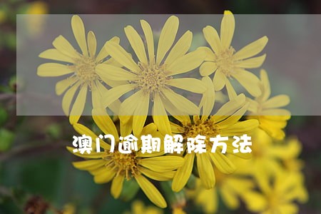 澳门逾期解除方法 澳门逾期解除方法