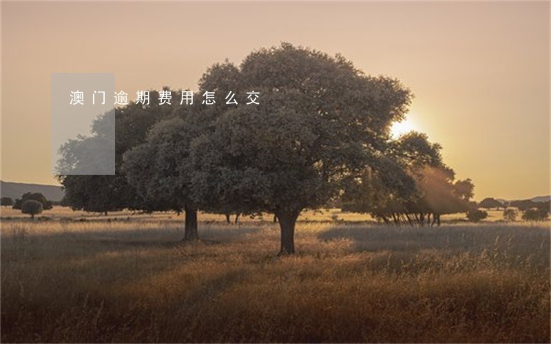 澳门逾期费用怎么交 澳门逾期费用怎么交