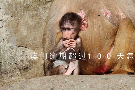 澳门逾期超过100天怎么办 澳门逾期超过100天怎么办