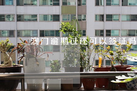 澳门逾期过还可以签证吗 澳门逾期过还可以签证吗