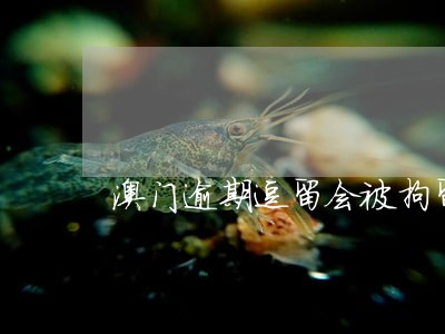 澳门逾期逗留会被拘留吗 澳门逾期逗留会被拘留吗