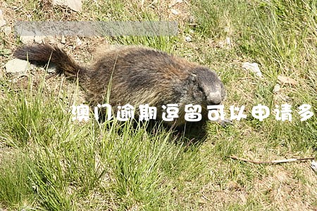 澳门逾期逗留可以申请多久 澳门逾期逗留可以申请多久