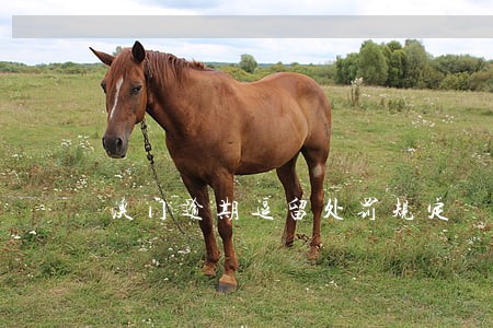 澳门逾期逗留处罚规定 澳门逾期逗留处罚规定