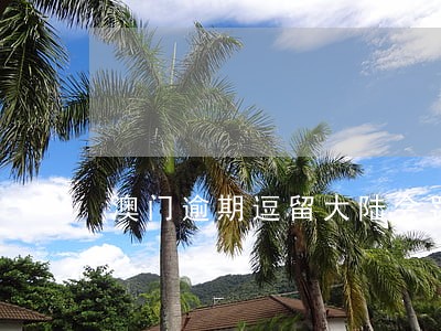 澳门逾期逗留大陆会罚款吗