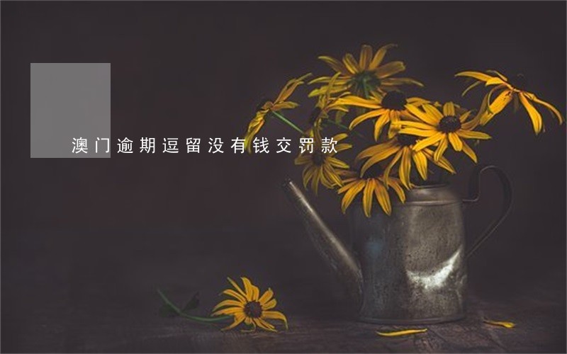 澳门逾期逗留没有钱交罚款