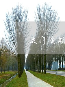 澳门逾期逗留的规定 澳门逾期逗留的规定