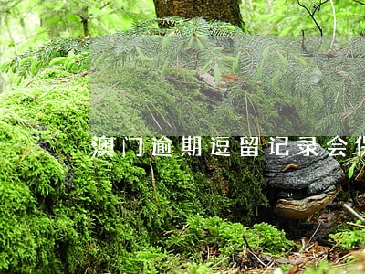 澳门逾期逗留记录会保持多长时间