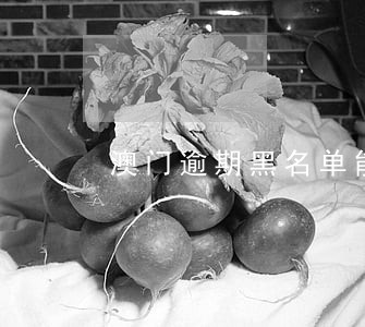 澳门逾期黑名单能去香港吗