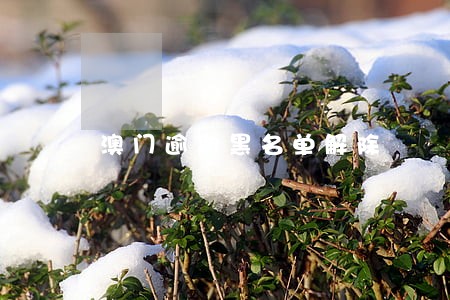 澳门逾期黑名单解除 澳门逾期黑名单解除
