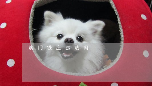 澳门钱庄违法吗
