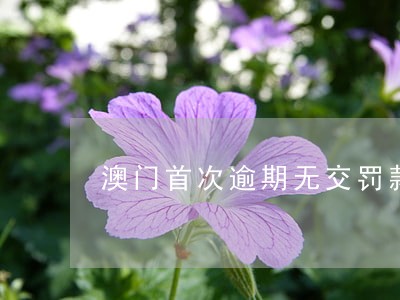 澳门首次逾期无交罚款 澳门首次逾期无交罚款