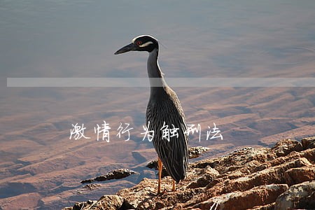 激情行为触刑法 激情行为触刑法