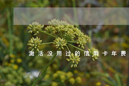激活没用过的信用卡年费算逾期吗 激活没用过的信用卡年费算逾期吗