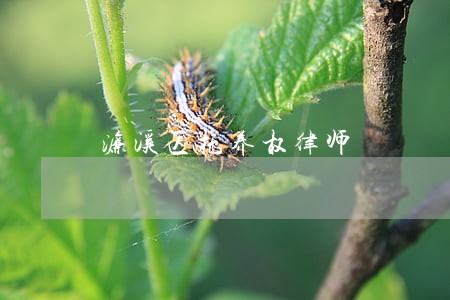 濂溪区抚养权律师 濂溪区抚养权律师