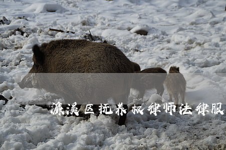 濂溪区抚养权律师法律服务 濂溪区抚养权律师法律服务
