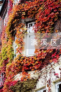 濂溪区税务在线律师