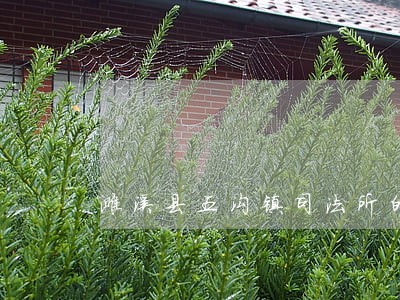 濉溪县五沟镇司法所的联系方式 濉溪县五沟镇司法所的联系方式