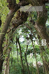 濉溪县再审案件律师选哪家 濉溪县再审案件律师选哪家