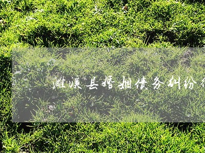 濉溪县婚姻债务纠纷律师哪家不错 濉溪县婚姻债务纠纷律师哪家不错