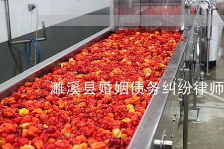 濉溪县婚姻债务纠纷律师收费标准 濉溪县婚姻债务纠纷律师收费标准