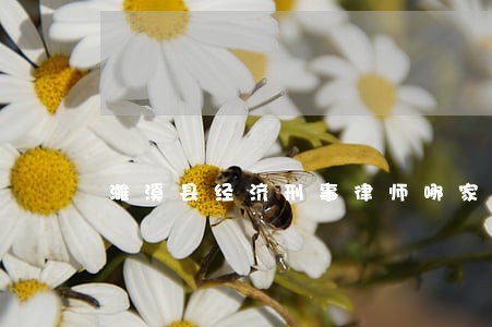 濉溪县经济刑事律师哪家好 濉溪县经济刑事律师哪家好