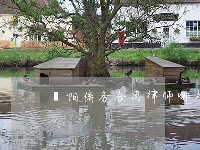濮阳债务合同律师哪个好 濮阳债务合同律师哪个好