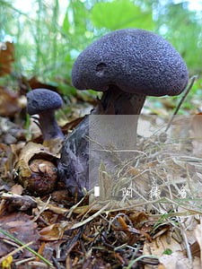 濮阳债务合同律师预约