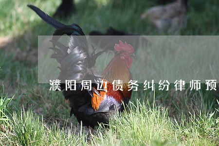 濮阳周边债务纠纷律师预约 濮阳周边债务纠纷律师预约