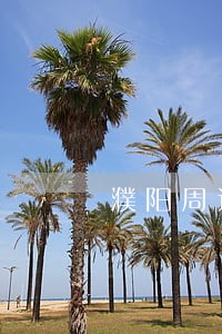 濮阳周边台前县债务纠纷律师 濮阳周边台前县债务纠纷律师