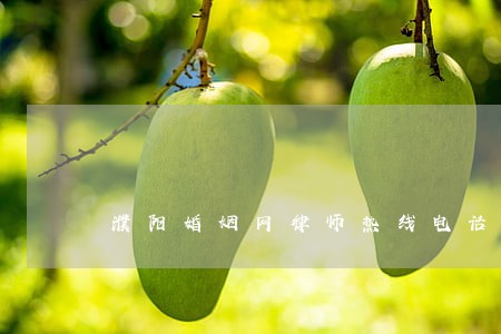 濮阳婚姻网律师热线电话 濮阳婚姻网律师热线电话