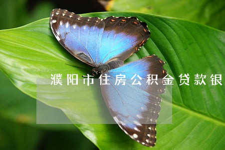 濮阳市住房公积金贷款银行逾期 濮阳市住房公积金贷款银行逾期